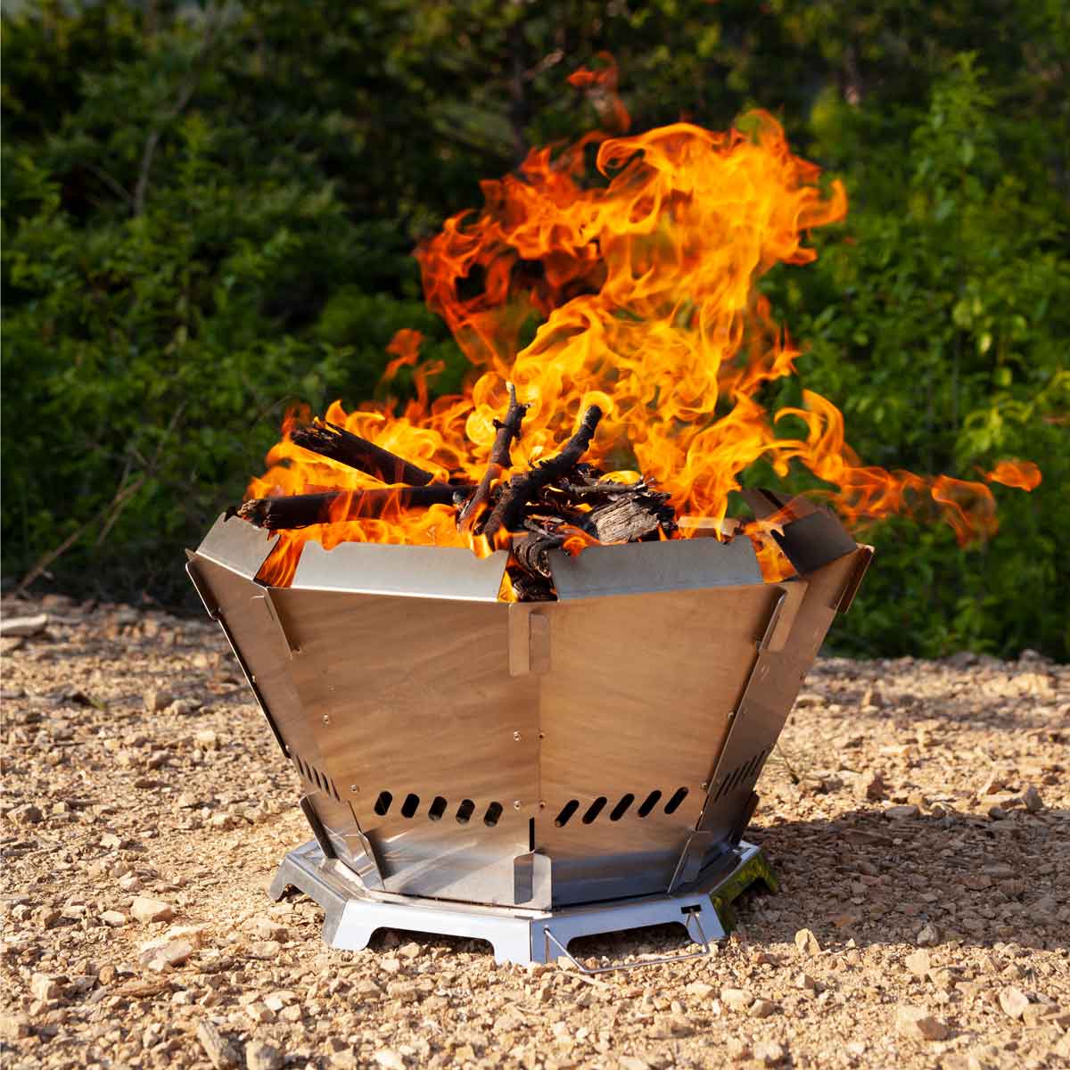 バッドボンファイヤー / Bud Bonfire