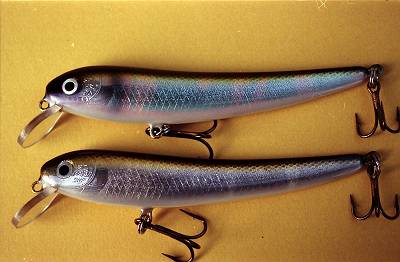 MARO LUREフォトギャラリー