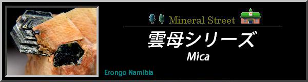 雲母／きらら／マイカ ＜グループ名＞ Mica