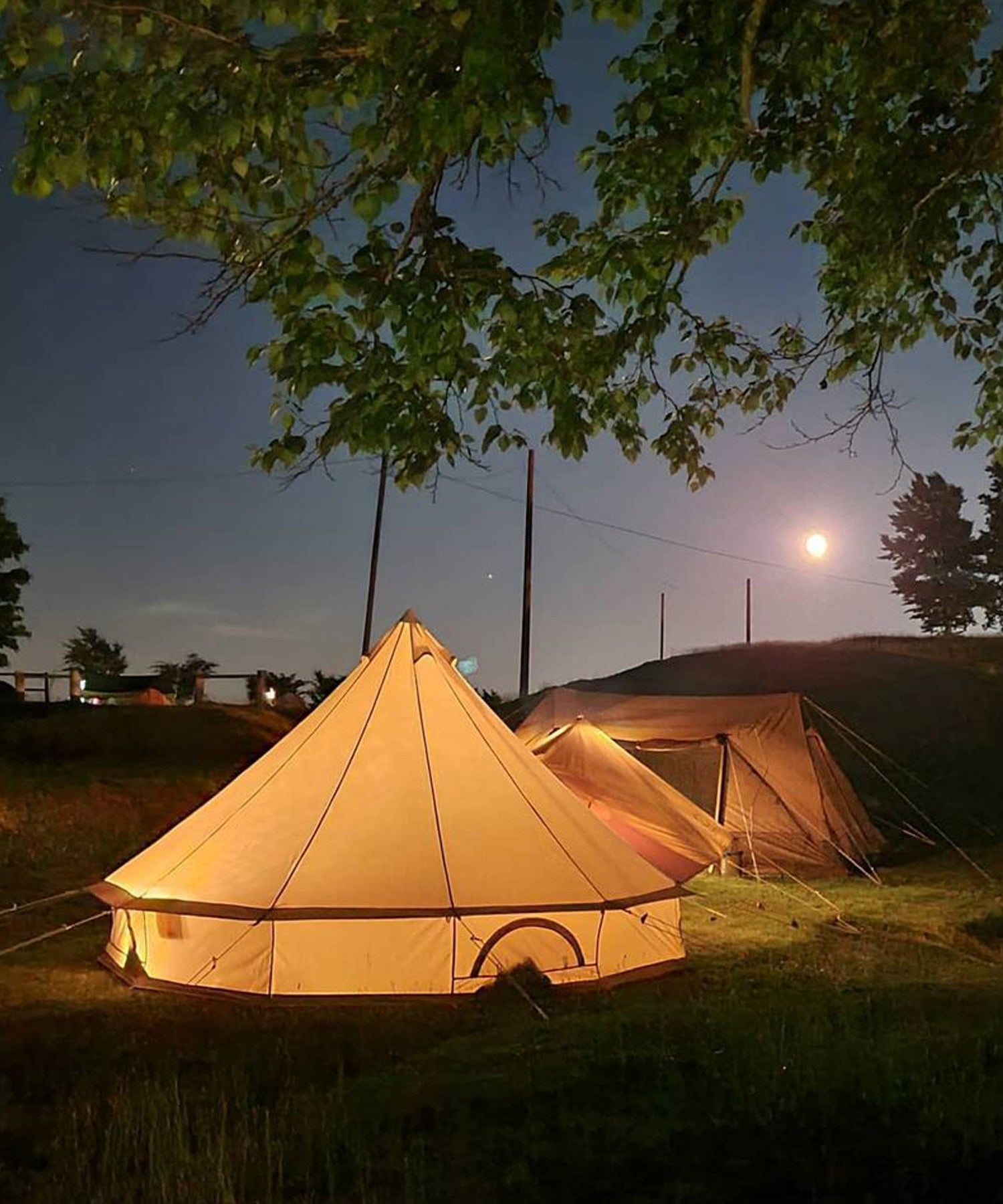 bello400kiha_11.jpg?v=1633568213