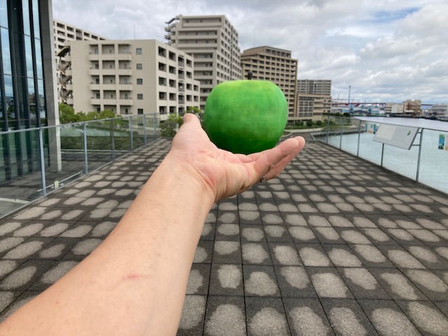 青春の青いりんごと森のりんご* 森のかけら ｜ 大五木材