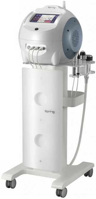 SPRING（エレクトロポレーション） | 種類カテゴリ | 二条駅前 なか