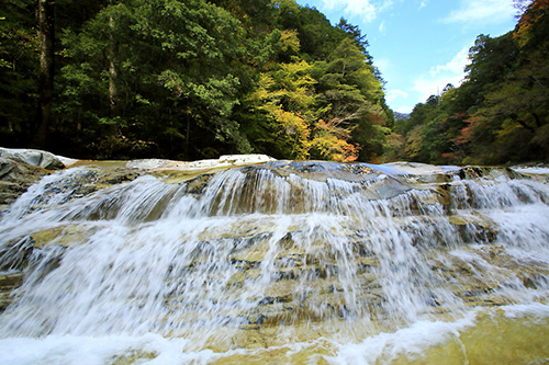 清冽な仁淀川を生み出す源の森たち＞4 石鎚山（いしづちさん）｜仁淀
