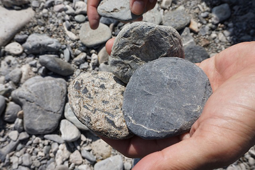 仁淀川は「石」もおもしろい！｜仁淀ブルー通信