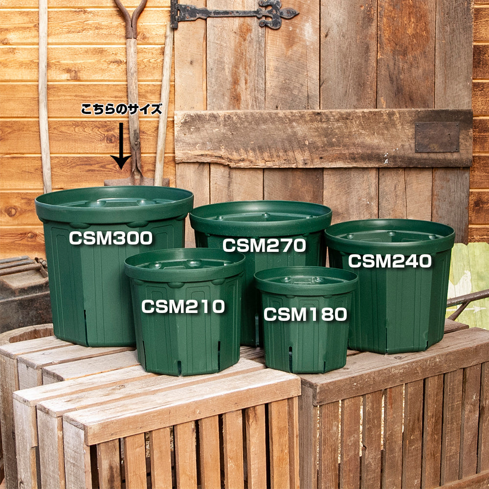 スリット鉢 CSM300 3個セット