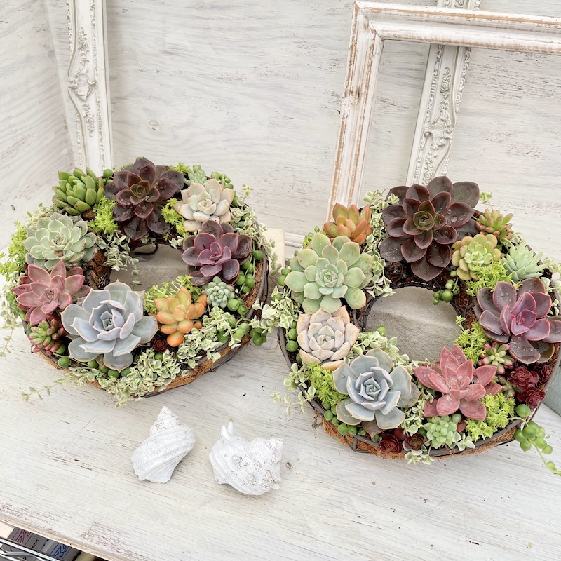 クリスマスリース寄せ植え体験ありがとうございました！ | アトリエ