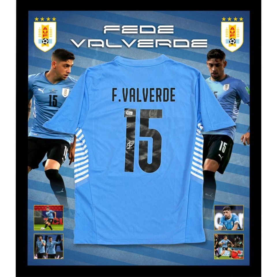 残り1点= フェデリコ・バルベルデ【直筆サイン入り】ウルグアイ代表