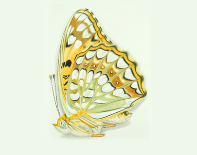 田淵行男記念館 | 施設紹介