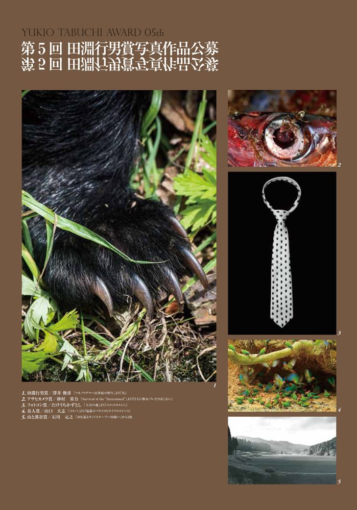 第5回田淵行男賞写真作品公募図録（抜粋） | 安曇野文化財団