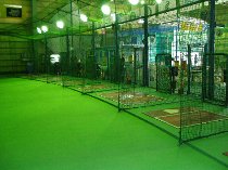 バッティングゾーン秋ヶ瀬