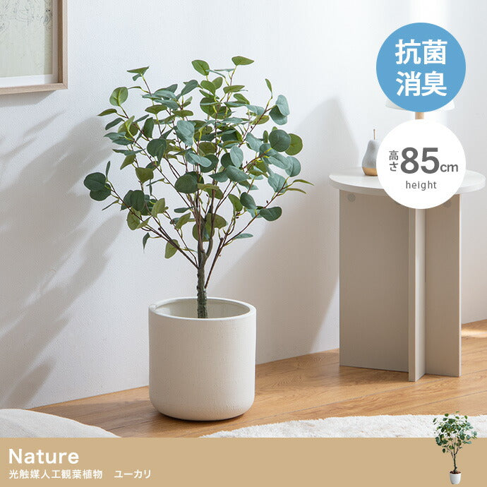 光触媒人工観葉植物 ユーカリ 高さ85cm | 【公式】allecore(アレコレ