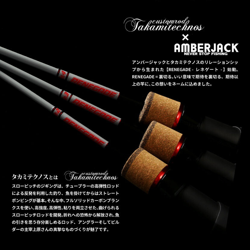 3番のみ4月中旬デリバリー】同時購入不可 タカミテクノス レネゲード