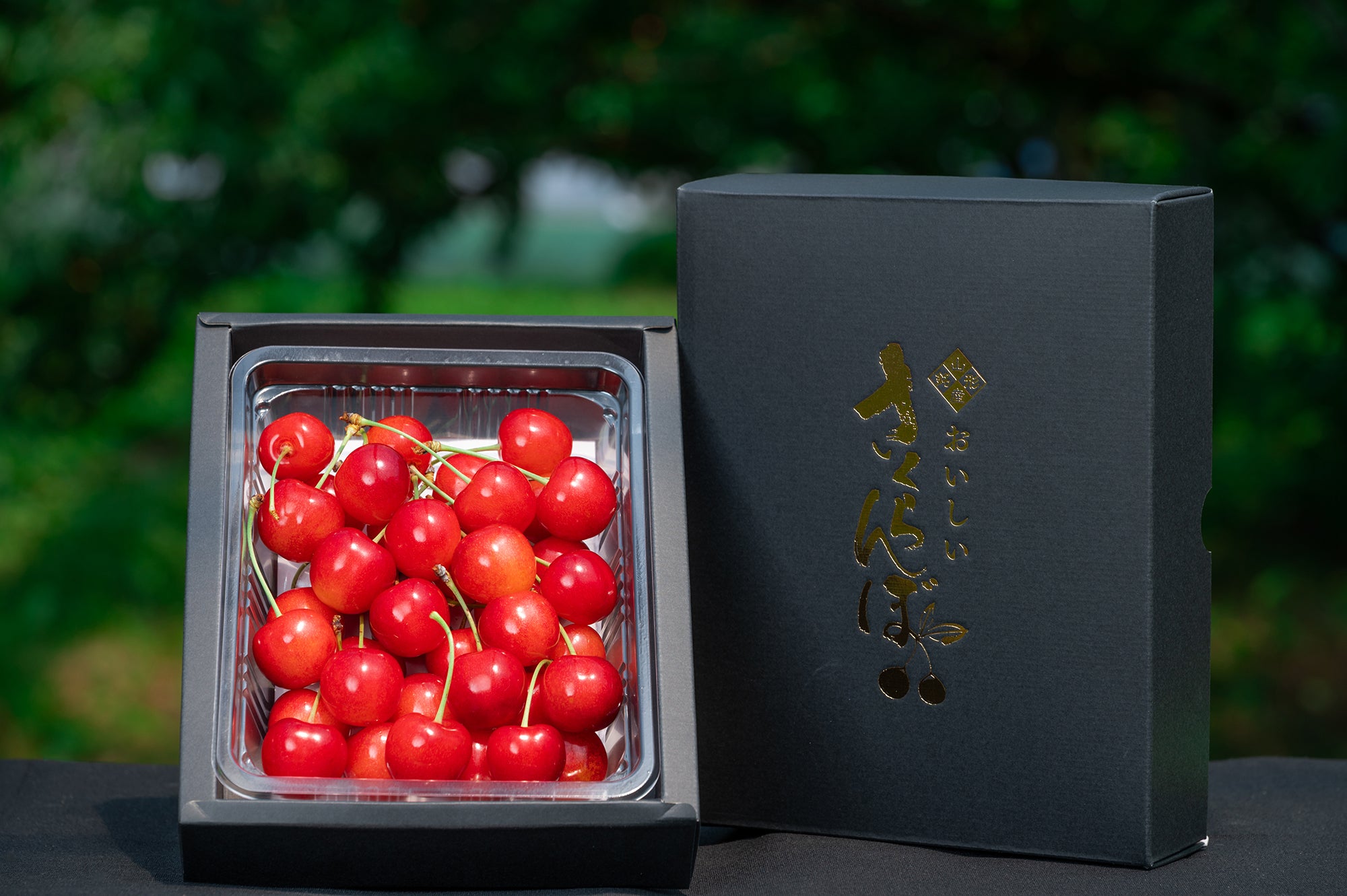 S03_01.jpg?v=1742265300