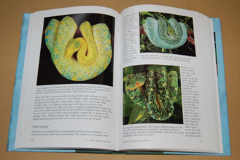 動植物関連書籍 ＞ 爬虫類 ＞ ヘビ ＞ ボア・パイソン ＞ 更に完璧な