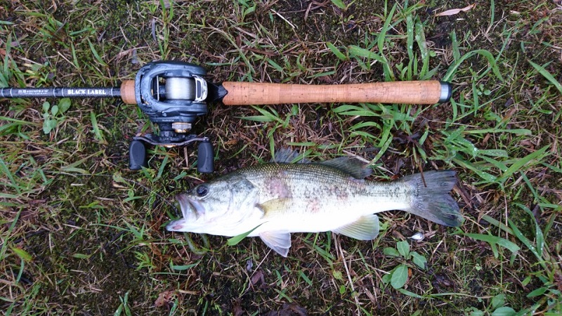 ブラックレーベル プラス 6101MRB | バス釣り初心者ブログ