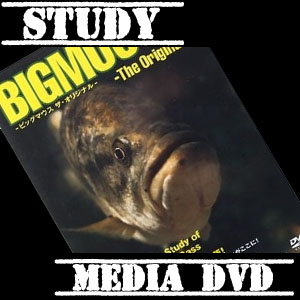 48 役に立つ本当におススメするバス釣りDVD | BASS-UP.COM(バスアップ)