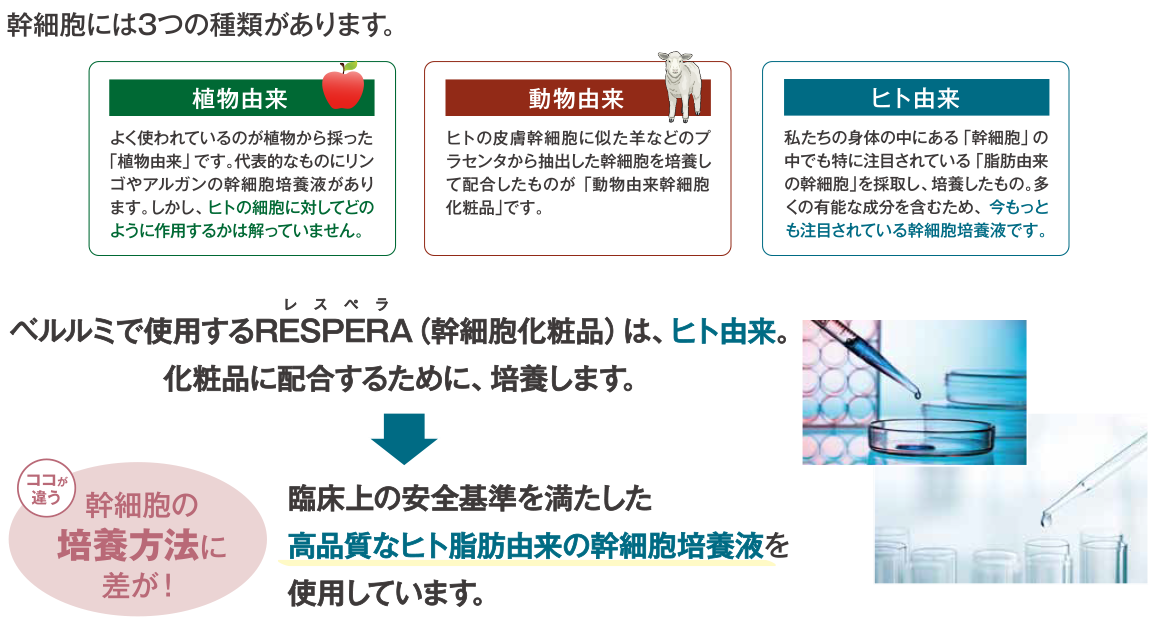 Belle Soufleurir ベルスフリール - ヒト由来の幹細胞化粧品