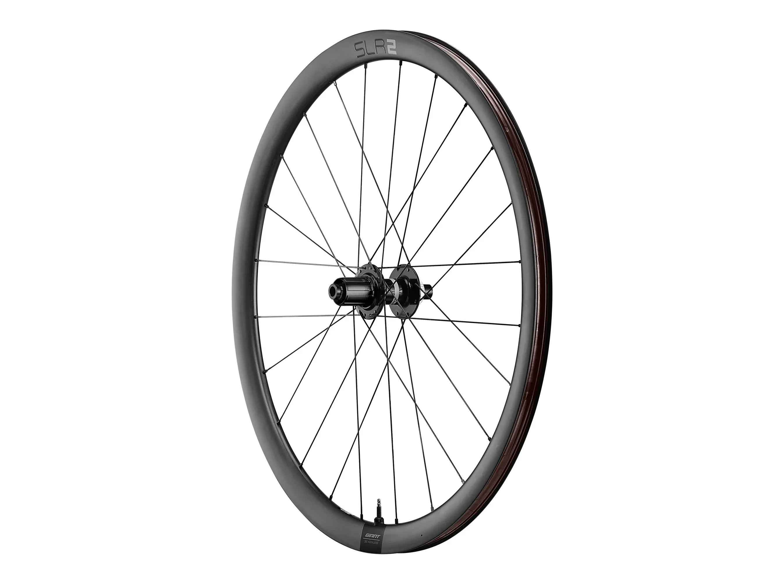 Giant SLR 2 36 Disc Wheelsystem Rear Wheel – Bicycle Warehouse