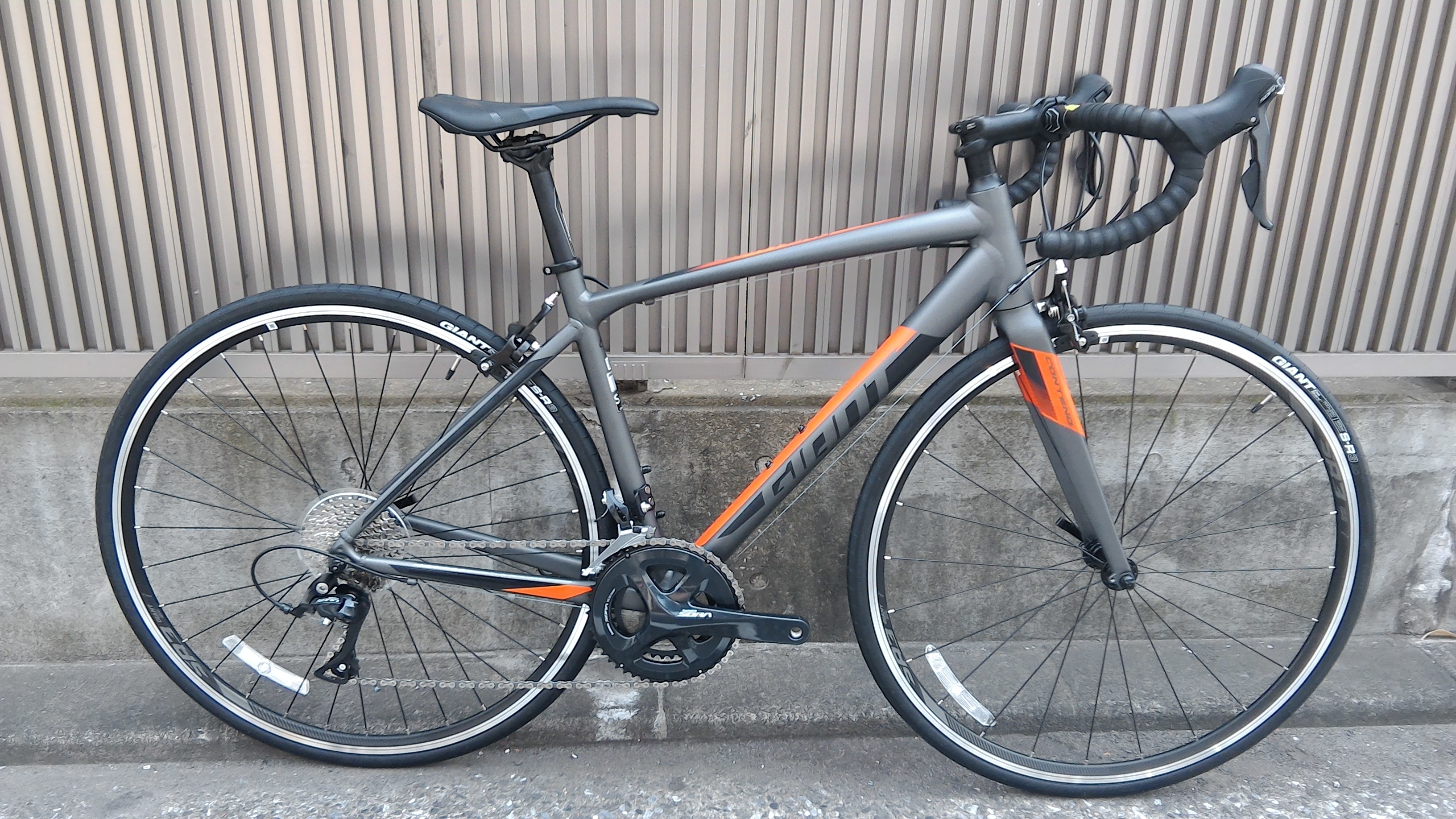 2019年新型 GIANT CONTEND 1(コンテンド ワン) | 横浜・新宿・湘南の