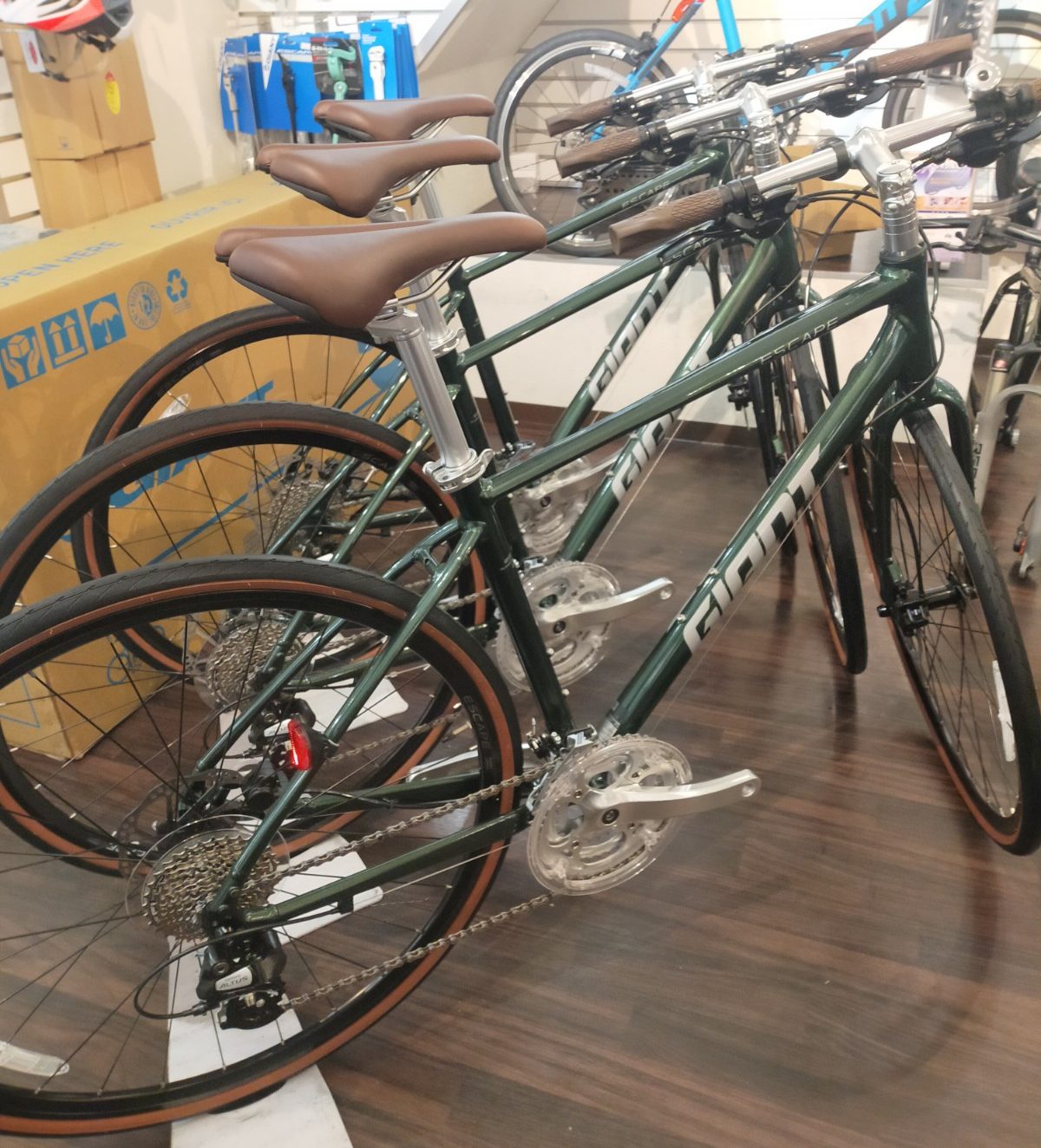 GIANT ESCAPE R DISC フォレストグリーン ¥57,200(税抜) | 横浜・新宿