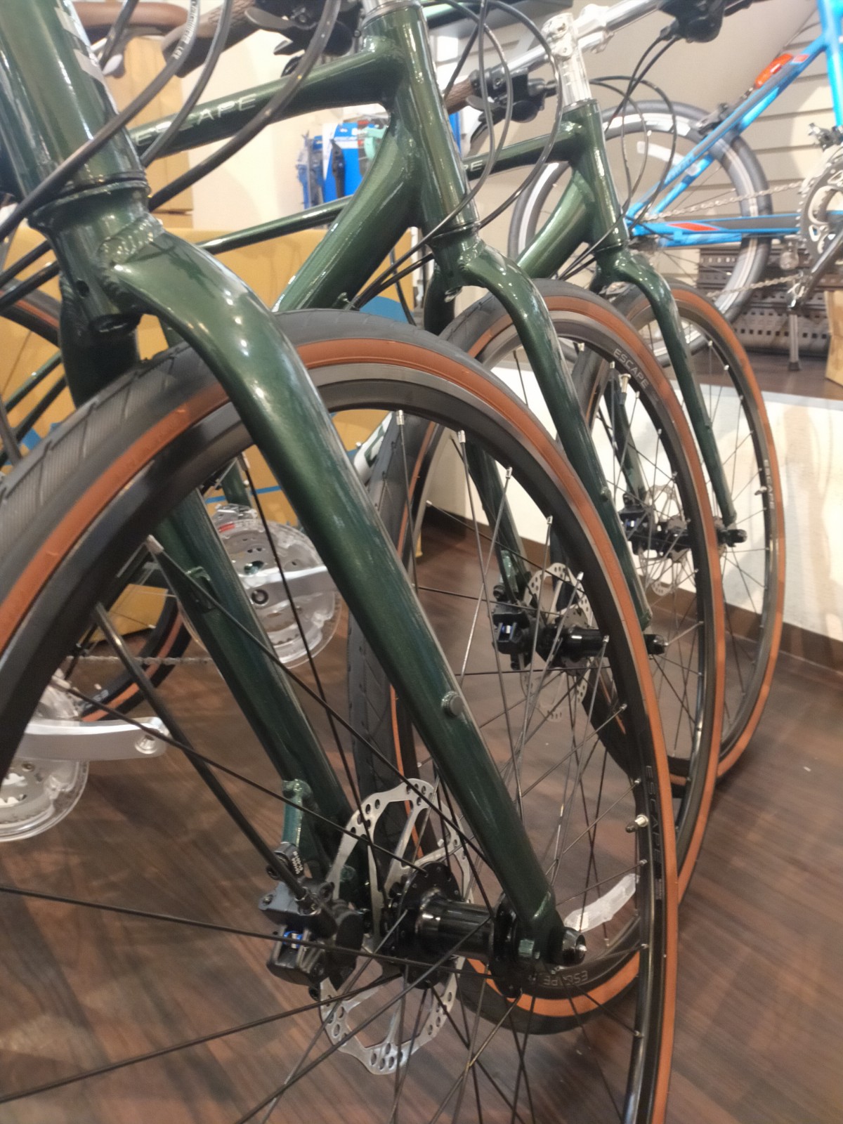 GIANT ESCAPE R DISC フォレストグリーン ¥57,200(税抜) | 横浜・新宿