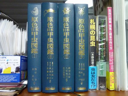 原色日本甲虫図鑑 | 虫けら屋の「ちょっと虫採り行ってくる！」