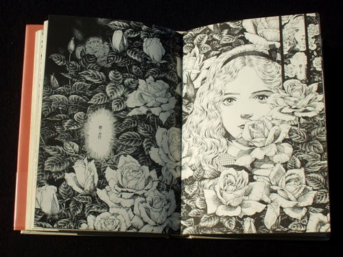 内田善美 『星の時計の Liddell ①』 （全三冊） | ひとでなしの猫