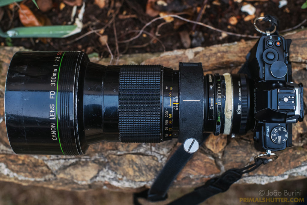 Birding with the Canon FD 300mm 2.8 Fluorite
