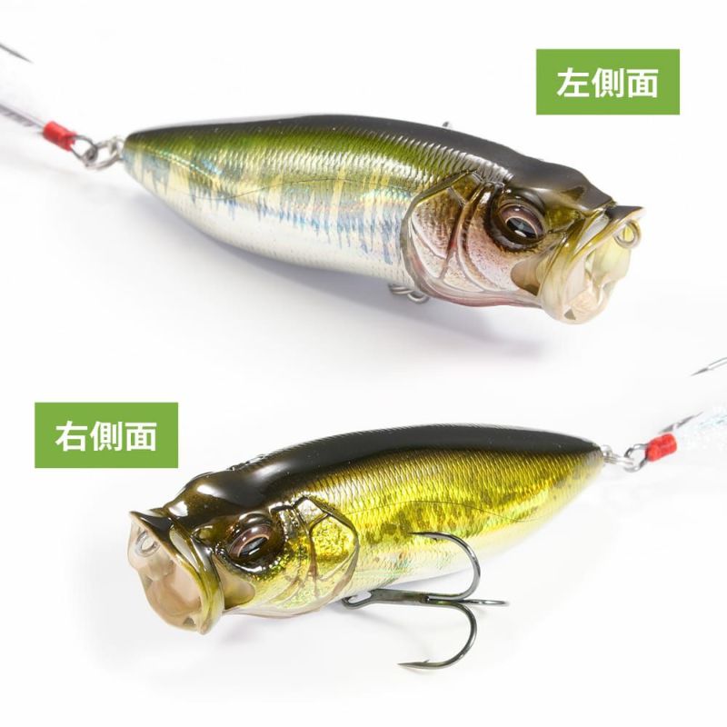 Megabass POPMAX SWITCHING B/H 2026 Limited Color – blueseabass