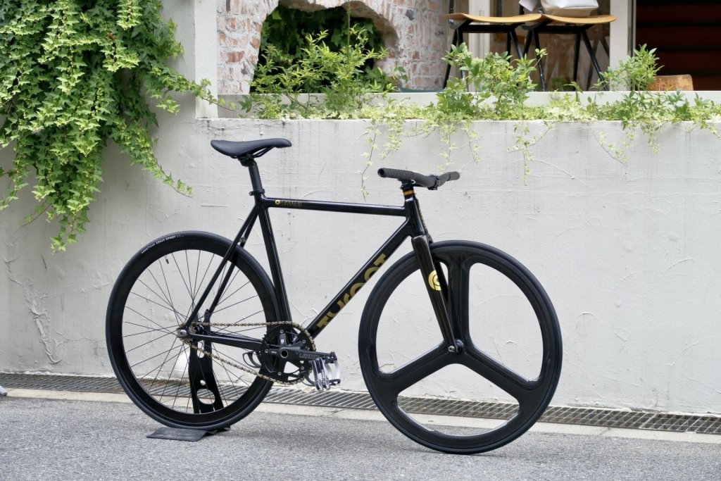 IMG_7382-3910240.jpg?v=1759571078