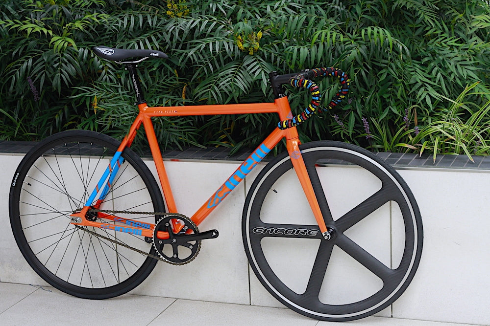 MG_0780.jpg?v=1689170369