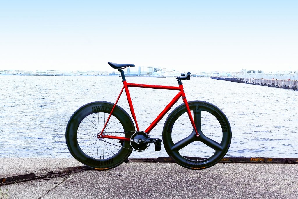 NEW COLOR RELEASE LEADER® Angelino | ブローチャーズ - BROTURES