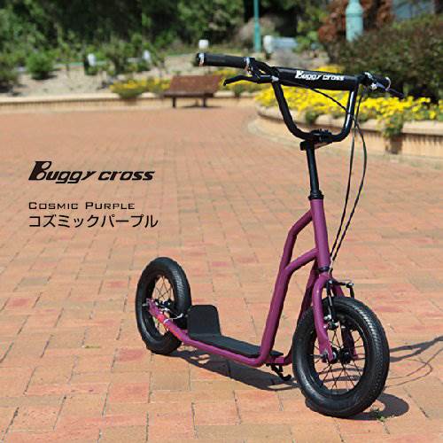 バギークロス価格改定です。 | サイクルパークトミー