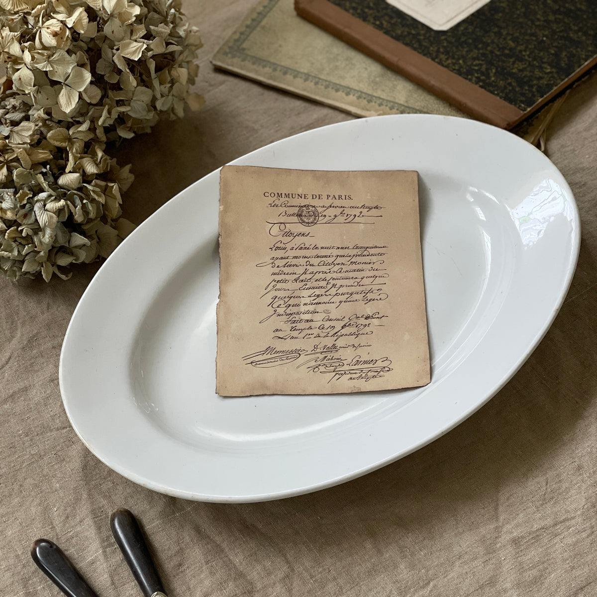 IMG_7217_1200x1200.jpg?v=