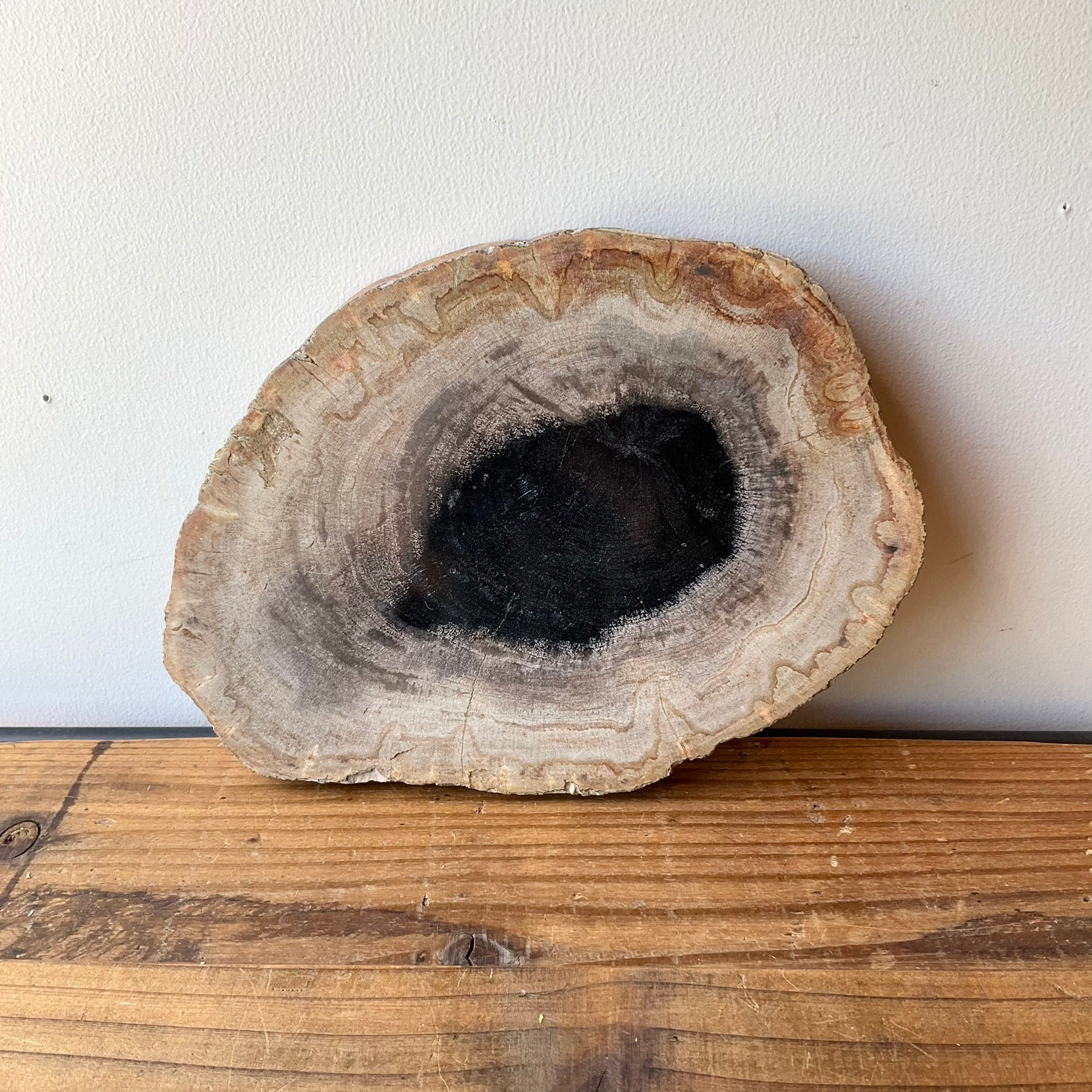 IMG_8247.jpg?v=1723169454