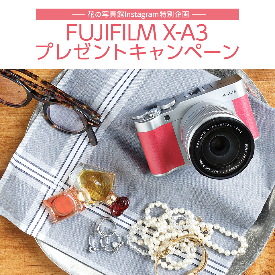 キャンペーン】花の写真館Instagram特別企画 FUJIFILM X-A3プレゼント