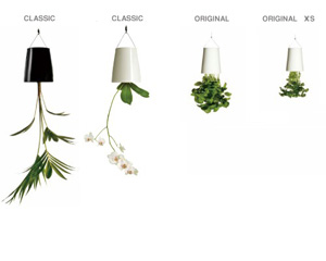 商品紹介 SKY PLANTER / スカイ プランター « PLOT Gallery & Shop