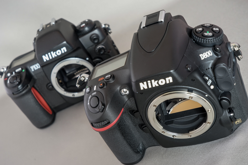 Nikon D800 ◇ 購入レビュー ◇ | デジタル試しうち