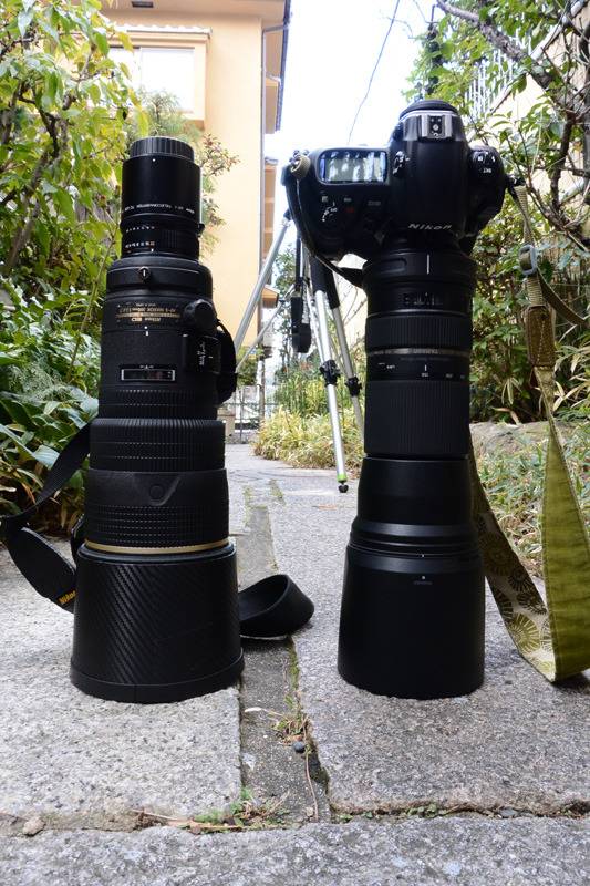 TAMRON SP 150-600mm F5-6.3 Di VC USD Model A011 検証その1
