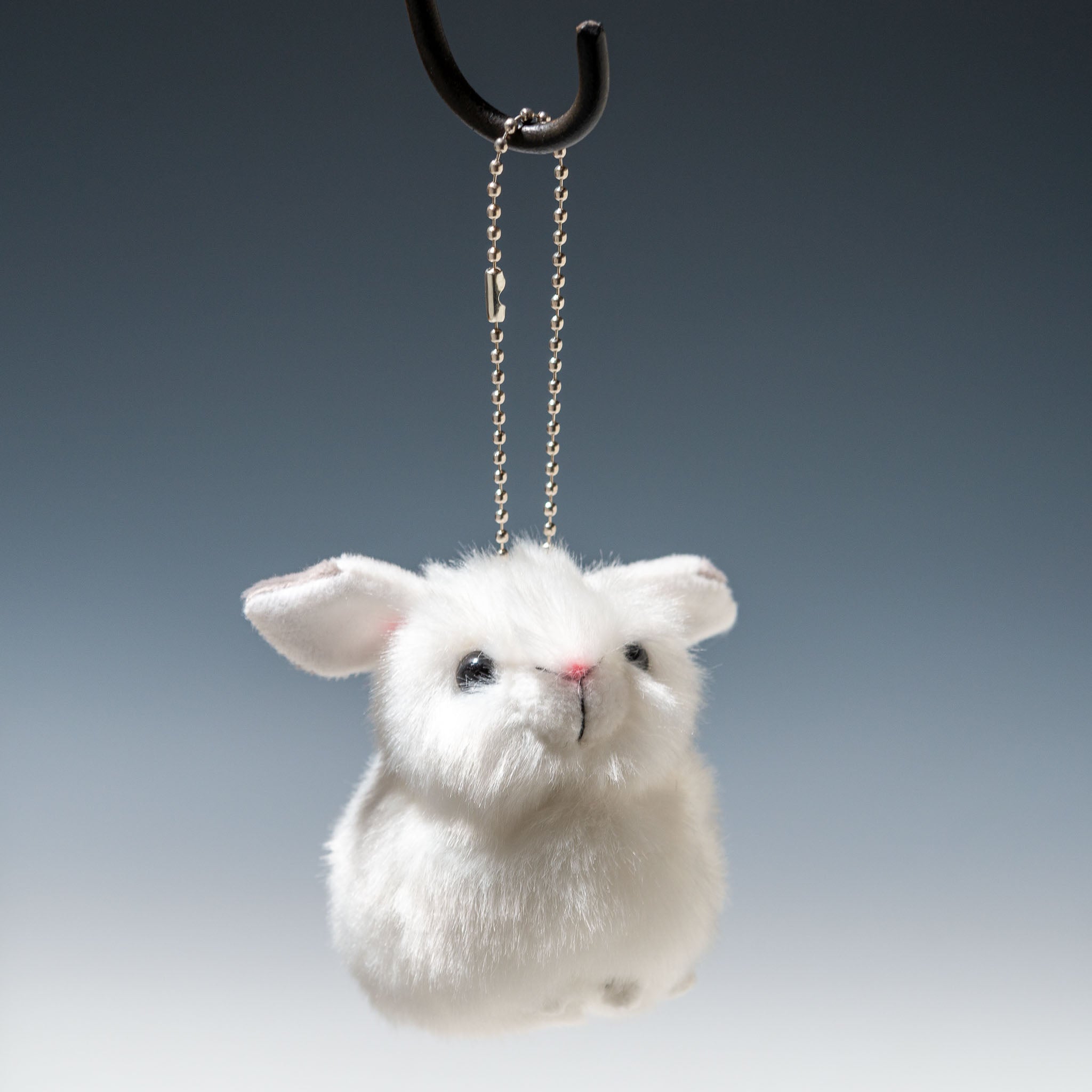 70482454-1.jpg?v=1699855590