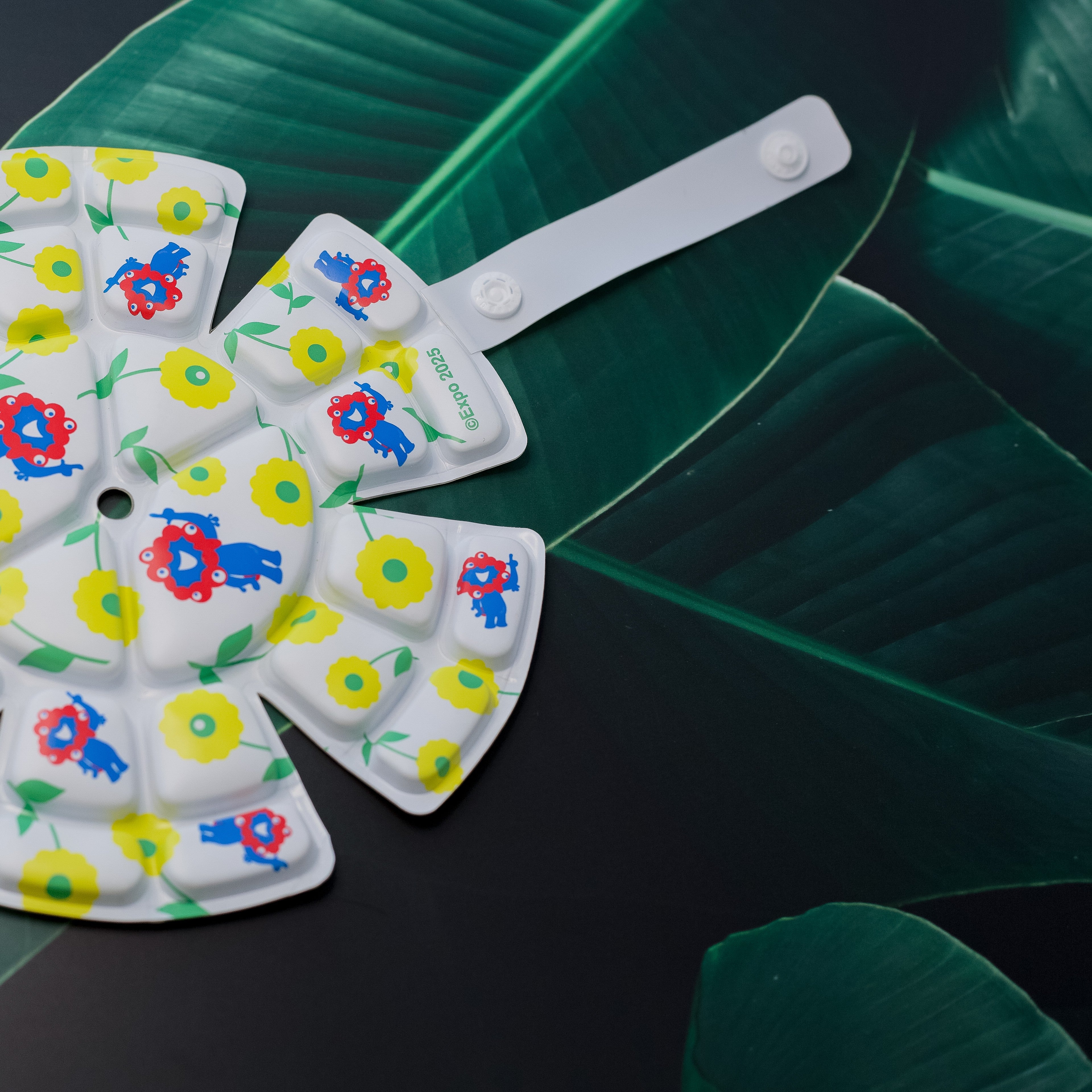 4582799255855-2.jpg?v=