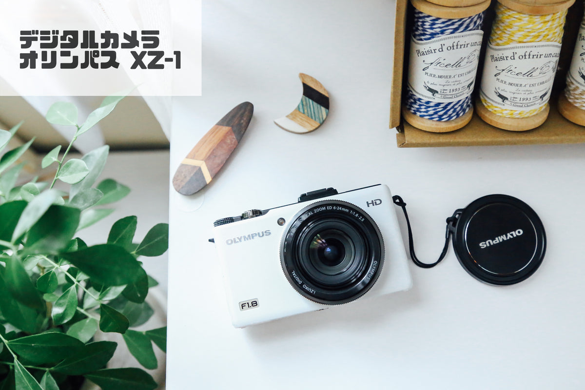 IMG_40302_1200x1200.jpg?v=