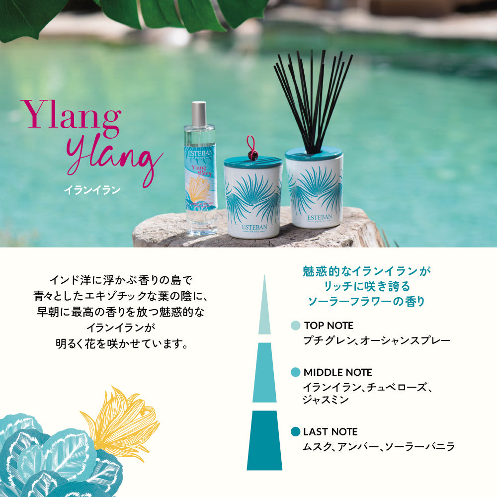 イランイラン イニシャルラタンブーケディフューザー – ESTEBAN