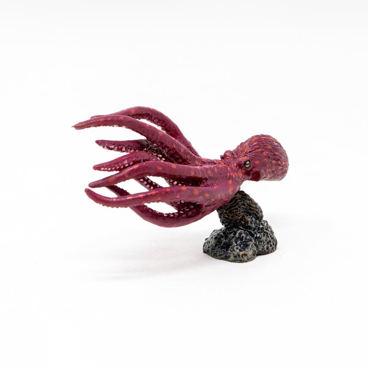 North Pacific Giant Octopus Mini Model – Favorite official website