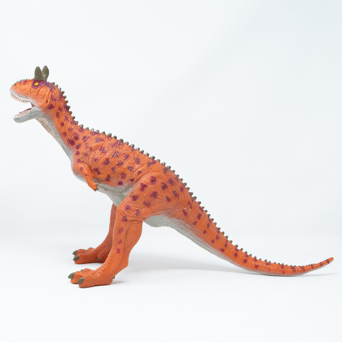 Favorite｜カルノタウルス ビニールモデル｜愛嬌とリアルな雰囲気が