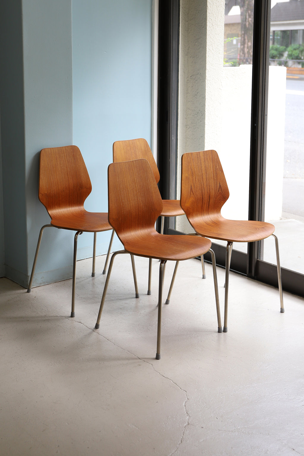 3IMG_6442_1024x.jpg?v=1695460704