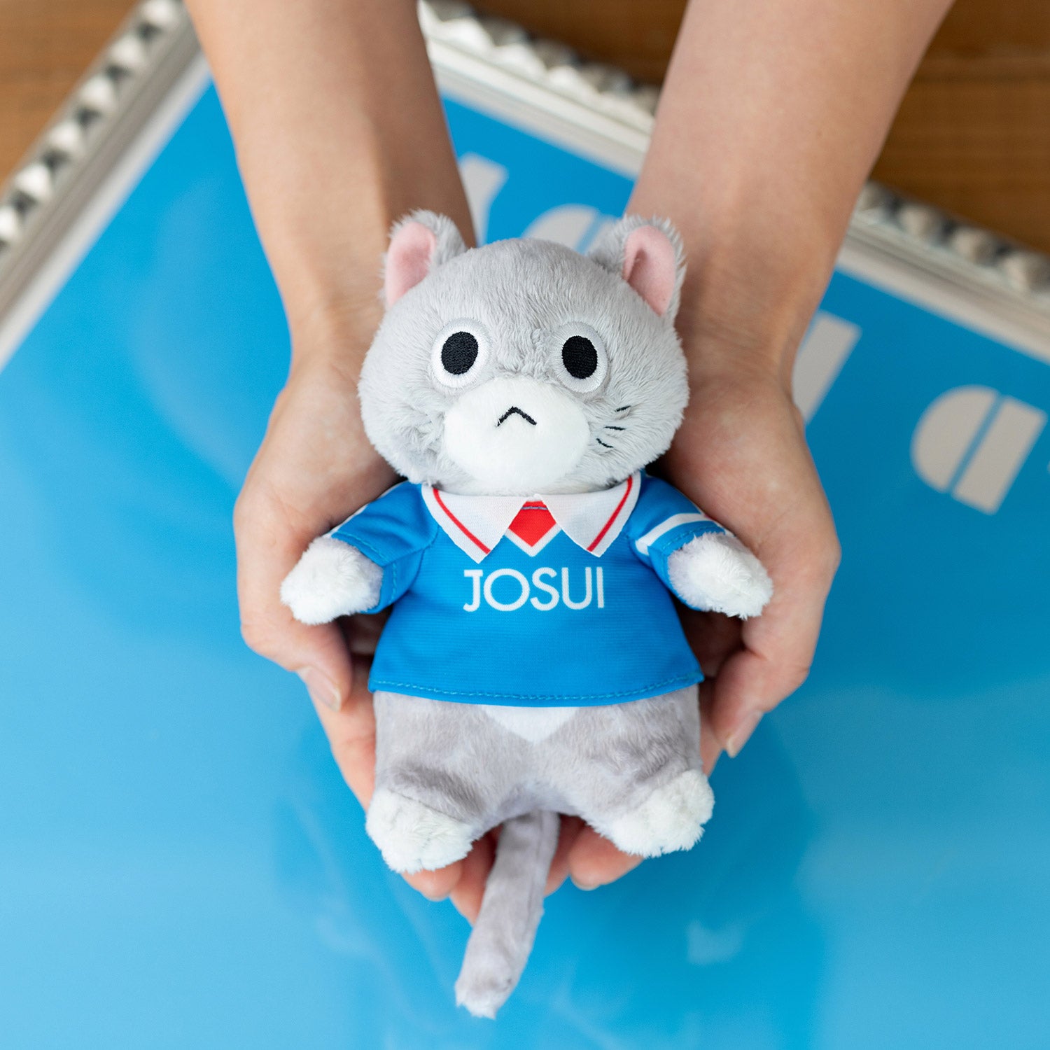 05_JOSUI_01.jpg?v=1708046134