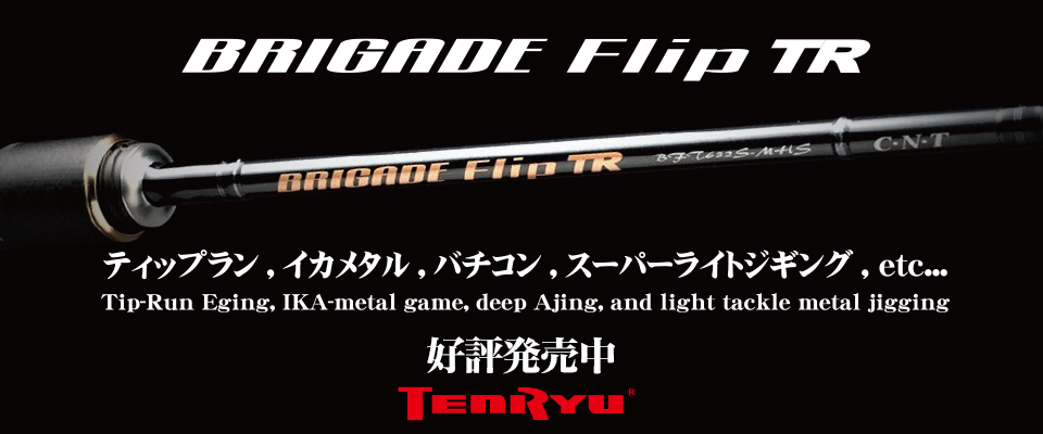 BRIGADE Flip TR （ブリゲイド フリップ TR）｜OFF SHORE｜テンリュウ