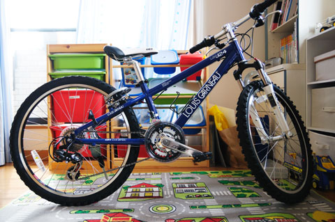 カズボンさん，ルイガノ（LGS J24）オーナーになるの巻 | フォトポタ