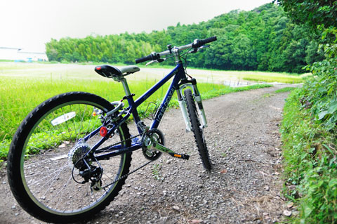 カズボンさん，ルイガノ（LGS J24）オーナーになるの巻 | フォトポタ